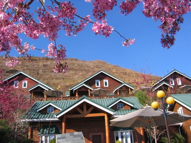 清境豐田桂林山莊民宿 Renai Exteriör bild